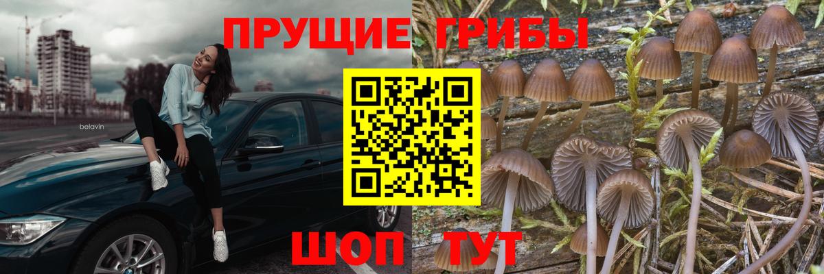 Воскресенск  Галлюциногенные грибы прущие грибы  Вход с VPN 