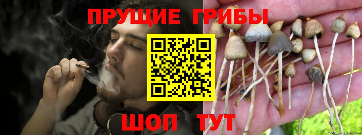 Псилоцибиновые грибы Cubensis Воскресенск